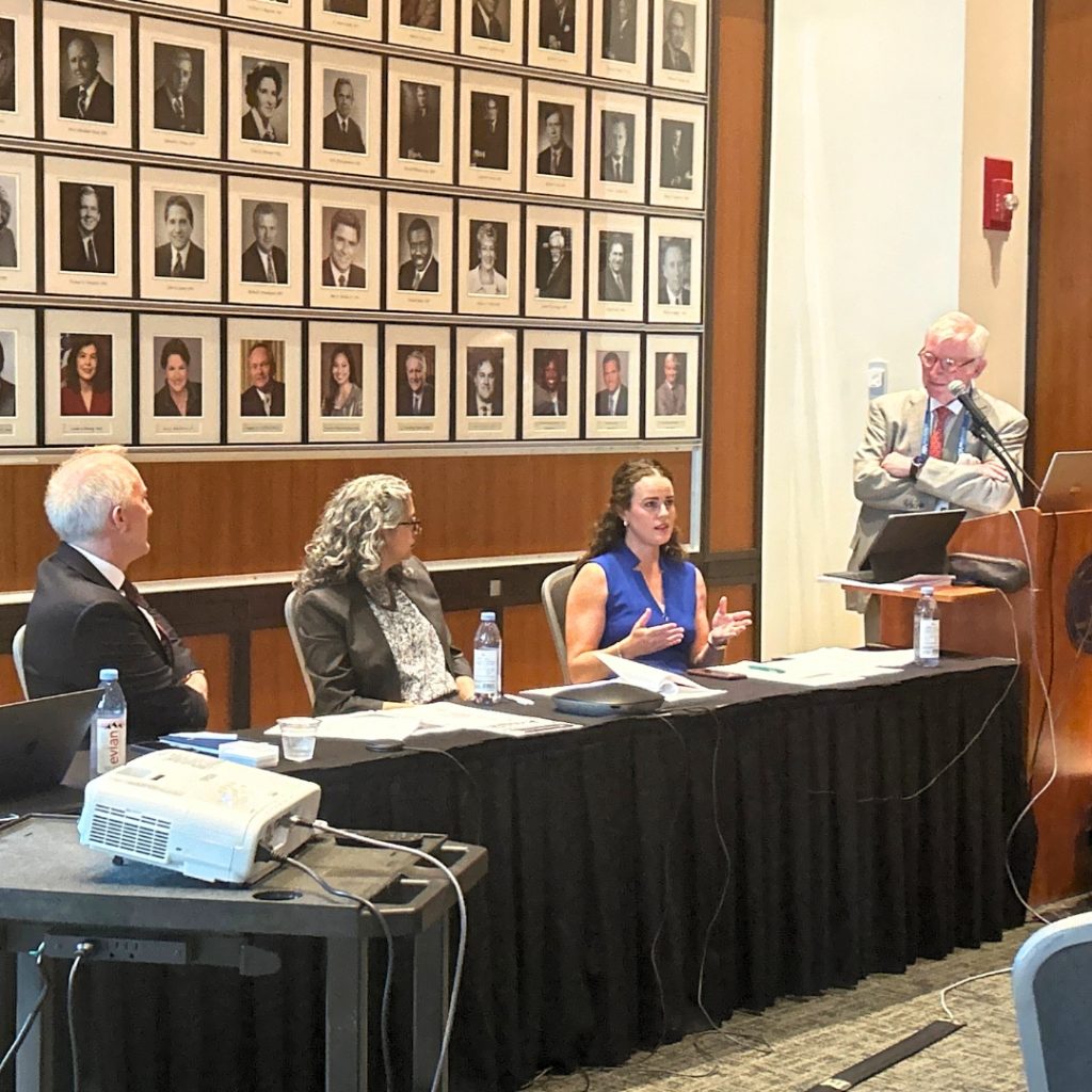 Tracy A. Brammeier, partner at Clifford Law Offices, speaks on a panel at the American Bar Association's CLE in the City Program.